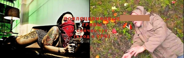 бошки Надым