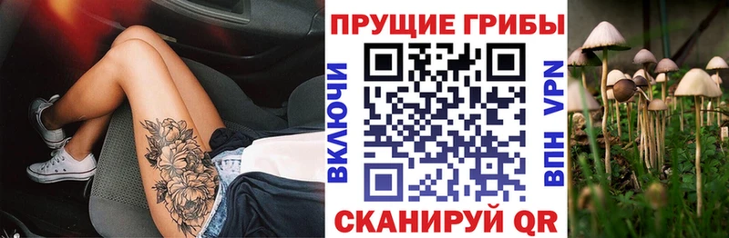 Галлюциногенные грибы Cubensis  Ярославль 