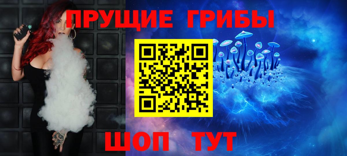 Псилоцибиновые грибы Psilocybine cubensis Ярославль