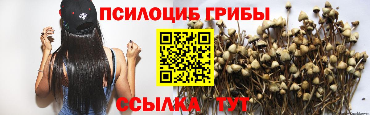 Псилоцибиновые грибы ЛСД  Галлюциногенные грибы мухоморы  Вход с VPN  Ярославль 